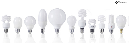 Energiesparlampen werden oftmals falsch entsorgt