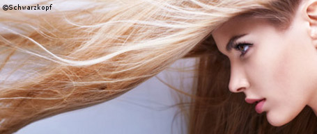 Energieeffizienter Föhn spart 30 Prozent Strom