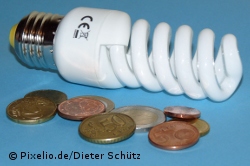 Öko-Institut begrüßt 60 Watt-Glühbirnen-Verbot