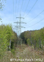 Netzentwicklungsplan