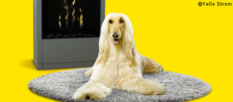 Yello Gas: 50 Euro Wechselbonus nur noch bis Ende Februar