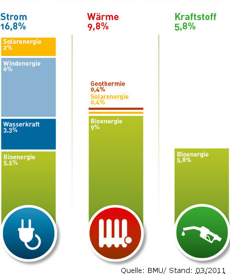 Bedeutung der Bioenergie innerhalb der erneuerbaren Energien